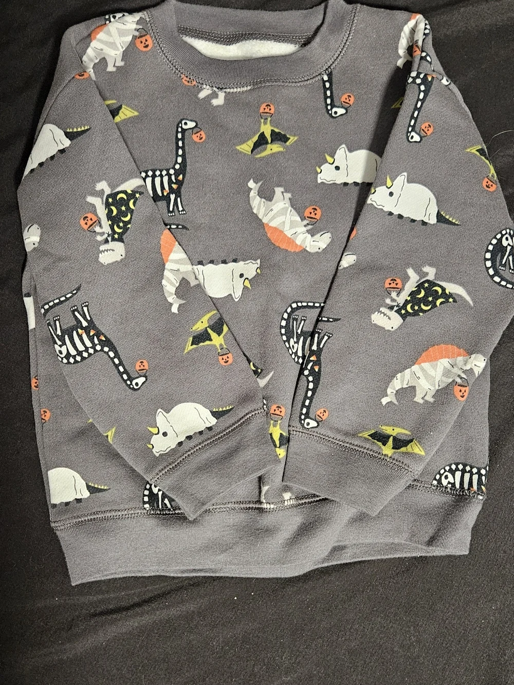 Kids Gray Dino Print Sweatshirt